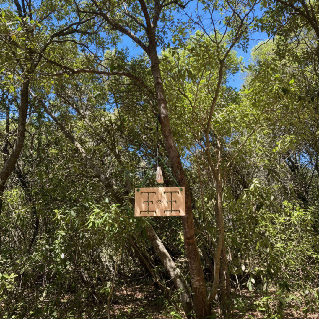 Eskotin Board: Tablero de entrenamiento de nudos y reuniones de Escalada deportiva